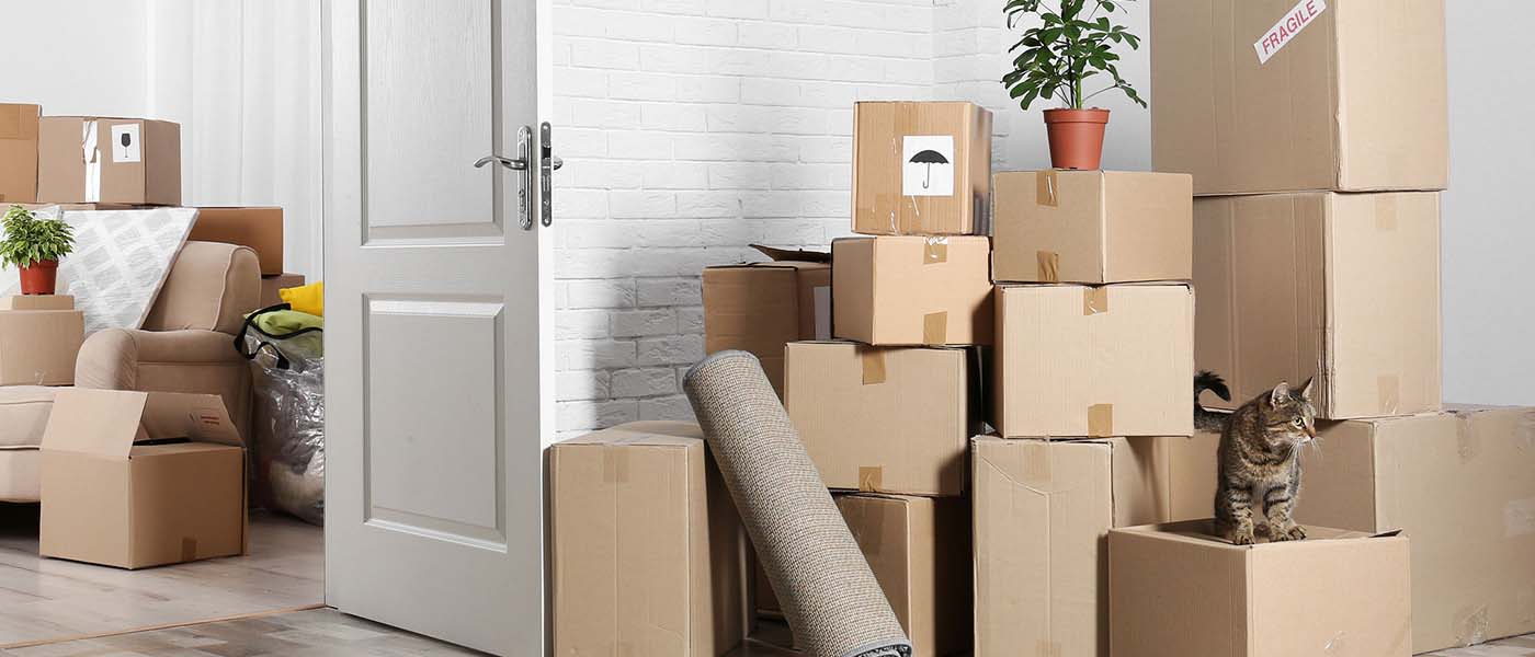 House Shifting Services in Raipur